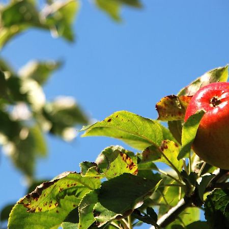 Cradog Farmhouse B&B Urlingford Екстериор снимка